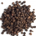 Betel Pepper