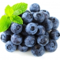 Blueberry Leaf