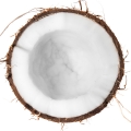 Coconut Rum