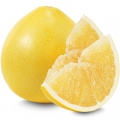 Florida Grapefruit