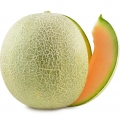 Frosted Melon