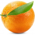 Frosted Orange