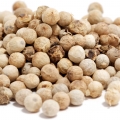 Green Coriander