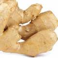 Indian Ginger