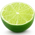 Lime Blossom
