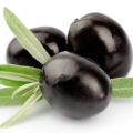 Olive Blossom