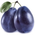 Plum Wood