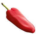 Red Pepper