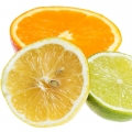 Sicilian Citruses