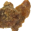 Somalian Opoponax