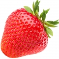 Wild Strawberry Leaf